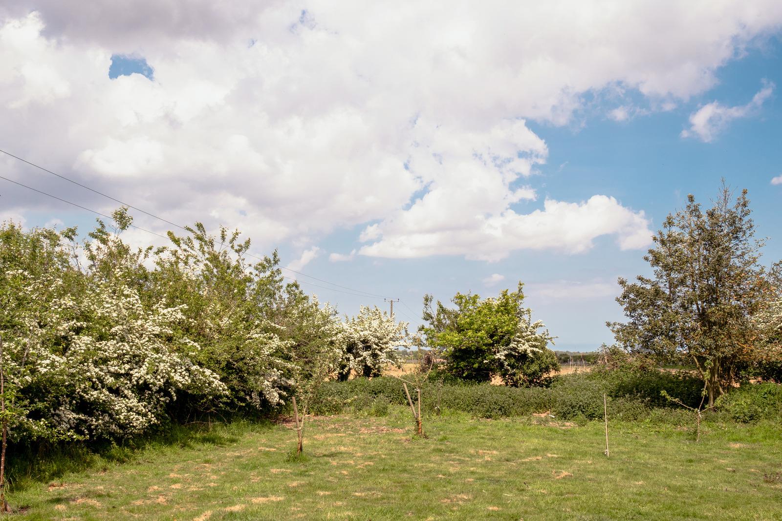 Walkgate Cottages - Image 3